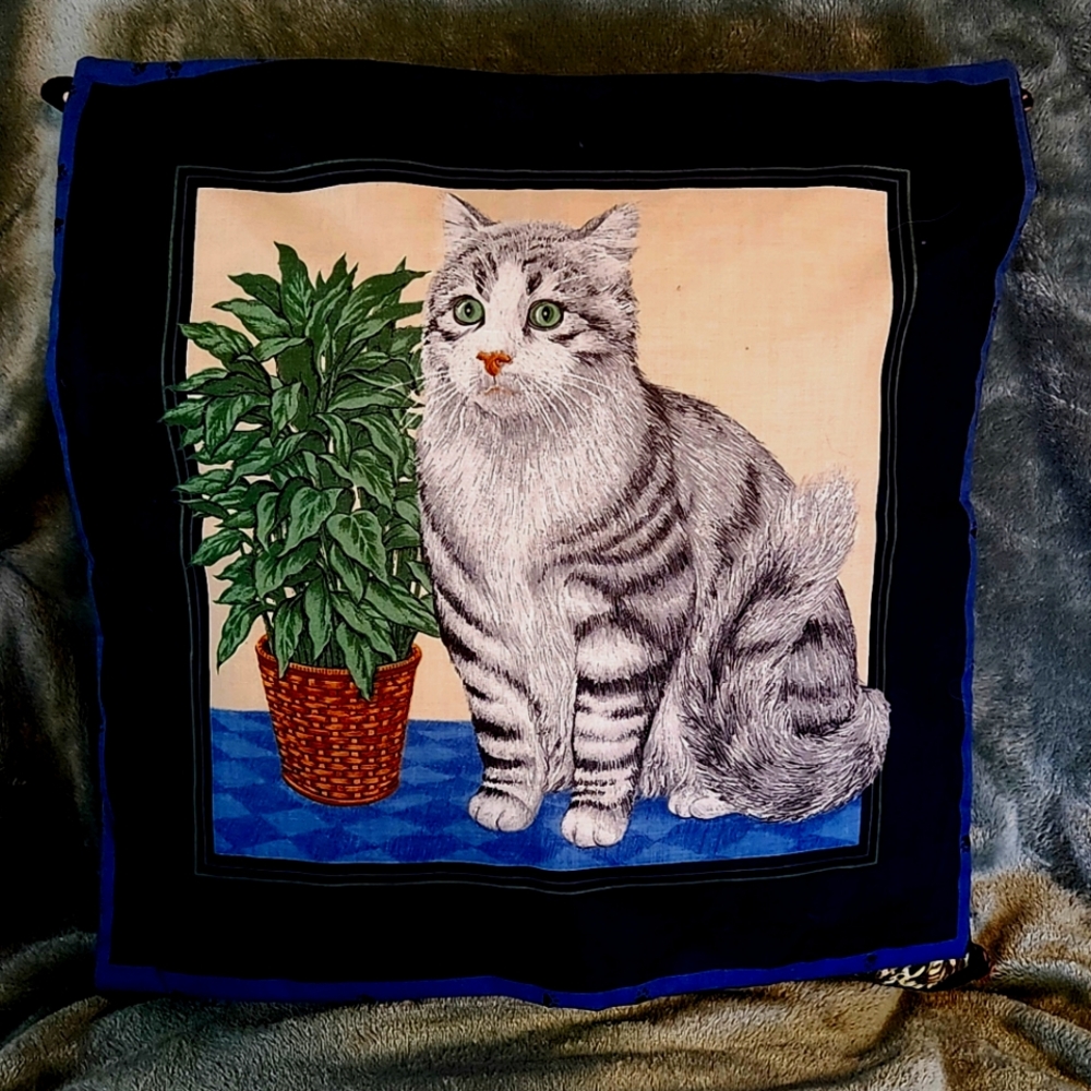 Throw Pillow